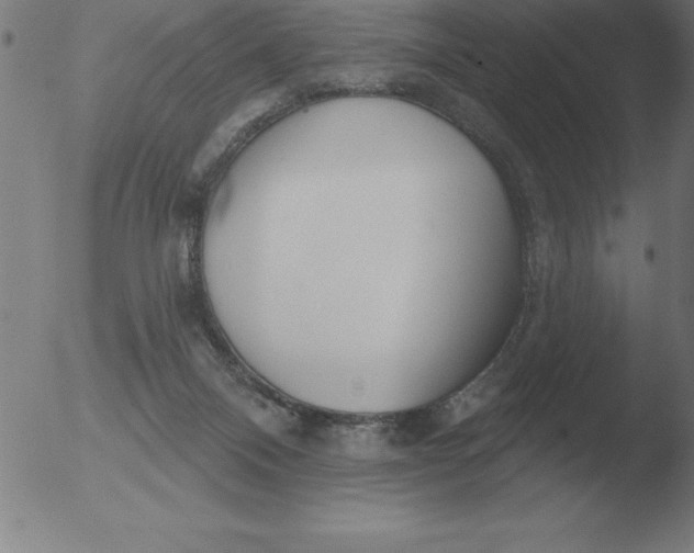 X0000051920120200507082105