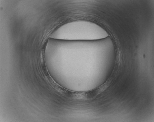 X0000051920121200507082105