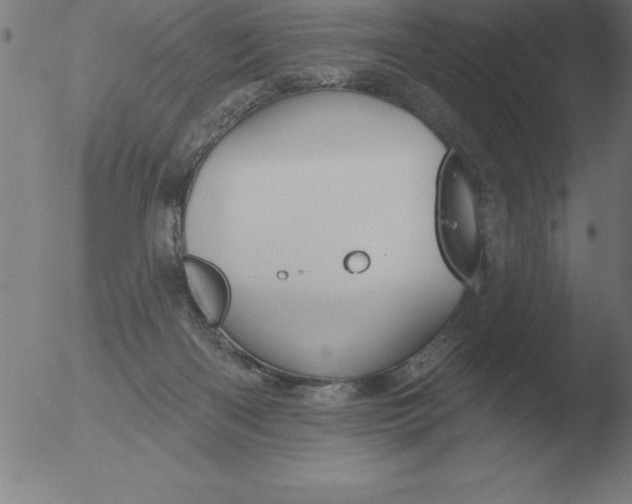 X0000051920122200507082105