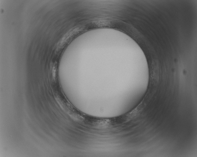 X0000051920124200507082105