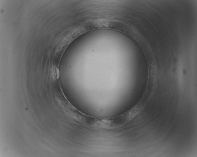 X0000051920125200507082105