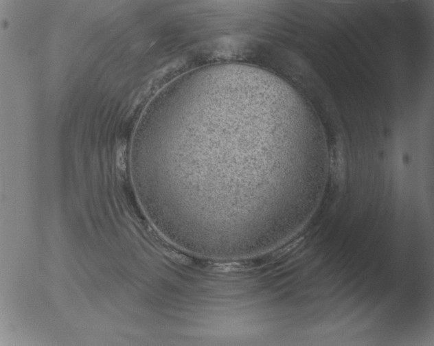 X0000051920127200507082105