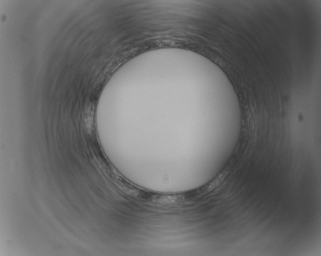 X0000051920129200507082105