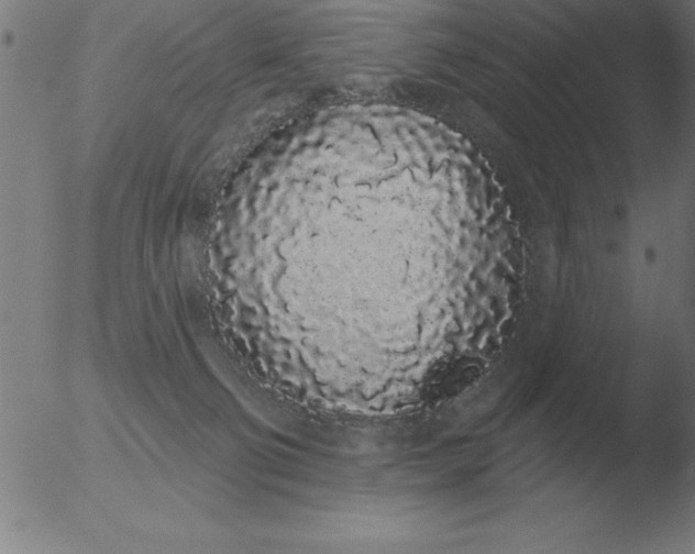 X0000051920130200507082105