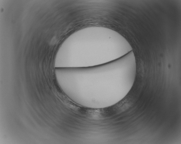 X0000051920131200507082105