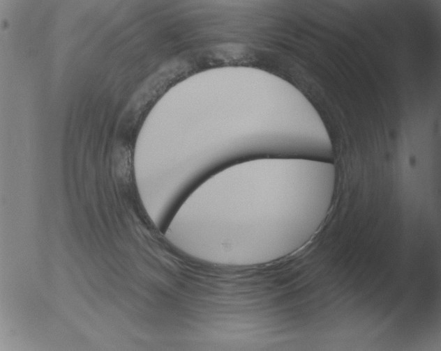 X0000051920132200507082105