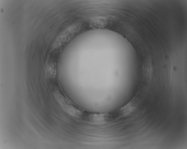 X0000051920134200507082105