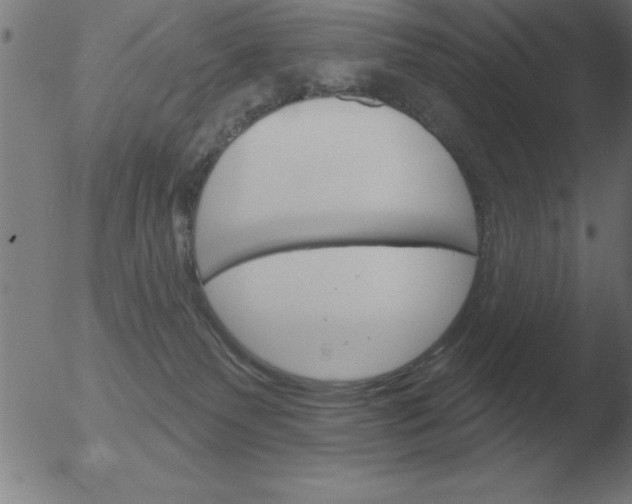 X0000051920135200507082104