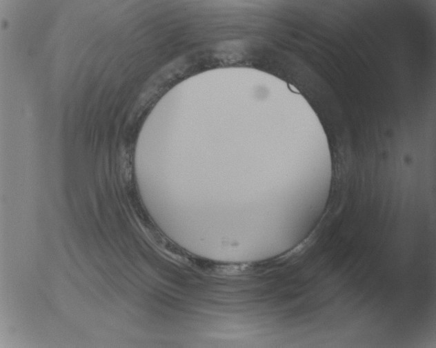 X0000051920136200507082104