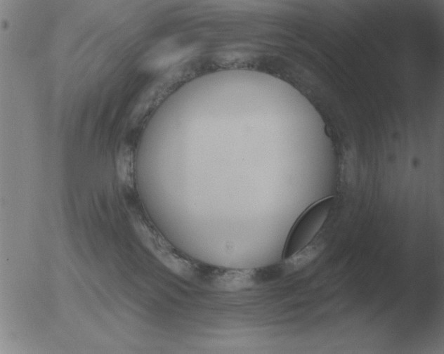 X0000051920138200507082104