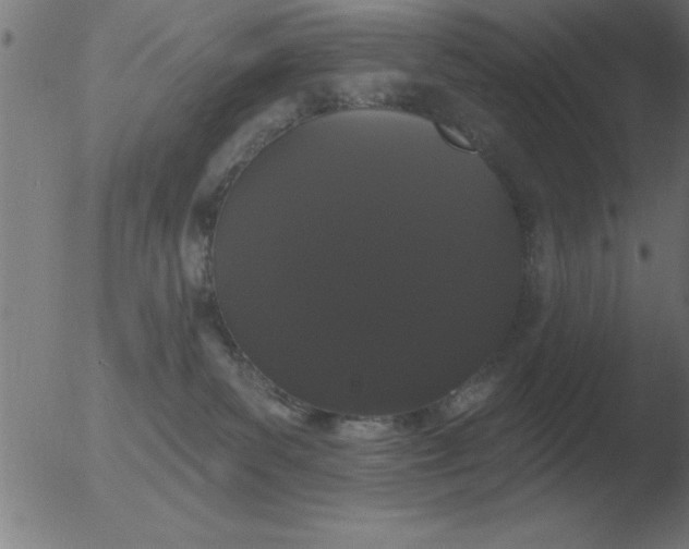 X0000051920139200507082104