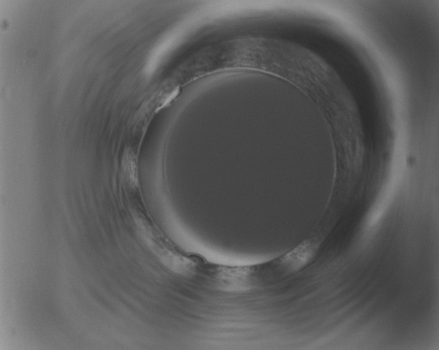 X0000051920143200507082104