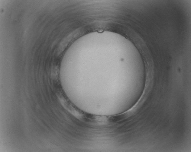 X0000051920144200507082104