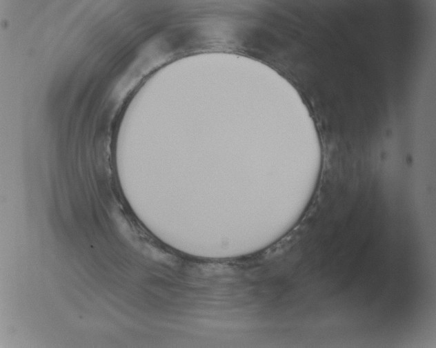 X0000051920146200507082104