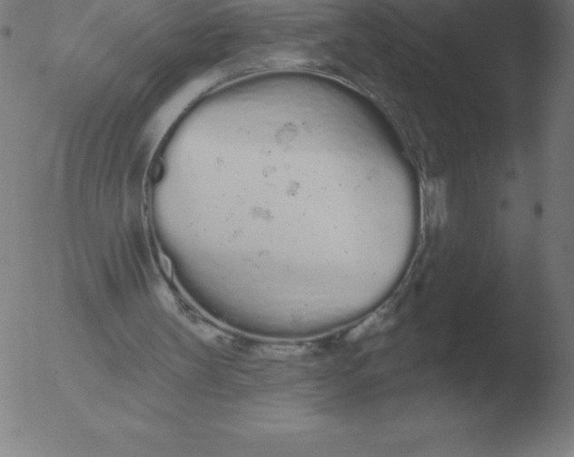 X0000051920147200507082104