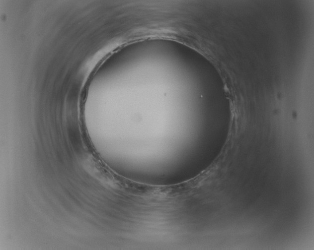 X0000051920148200507082104