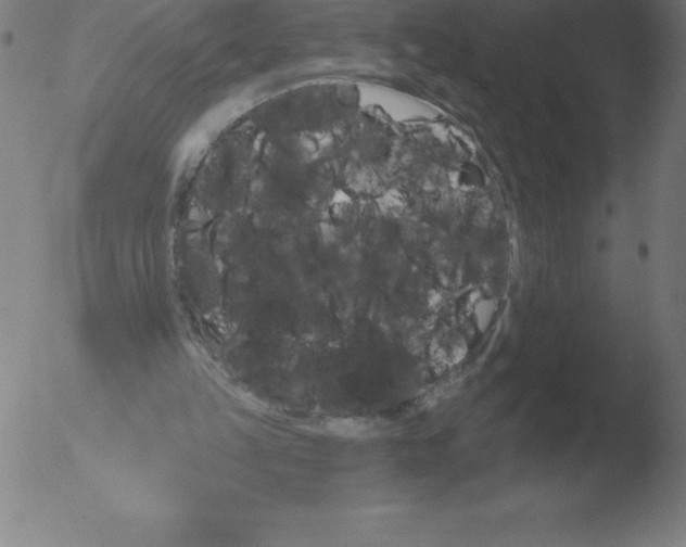 X0000051920149200507082104