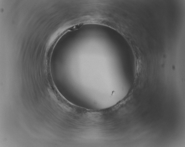 X0000051920150200507082104