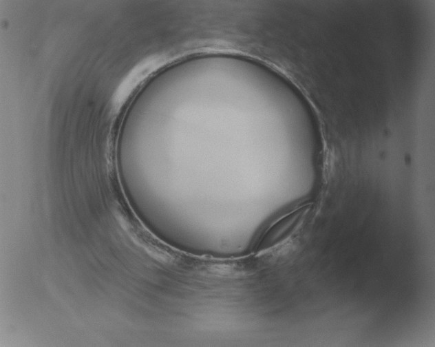 X0000051920151200507082104