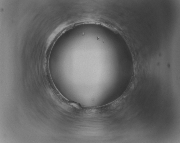 X0000051920152200507082104