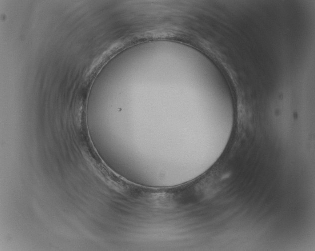 X0000051920153200507082104