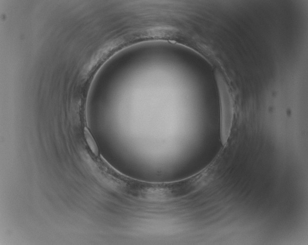 X0000051920154200507082104