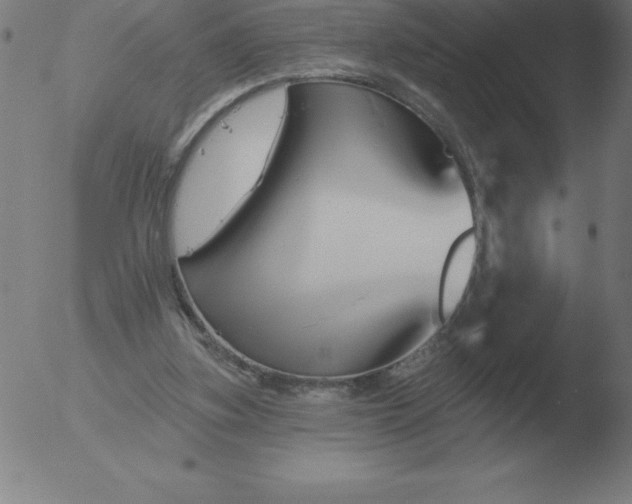 X0000051920155200507082104