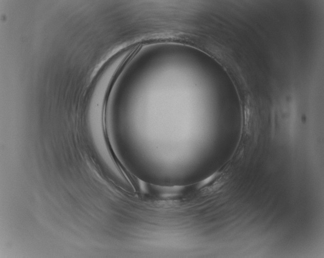 X0000051920156200507082104