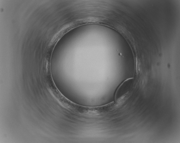 X0000051920157200507082104