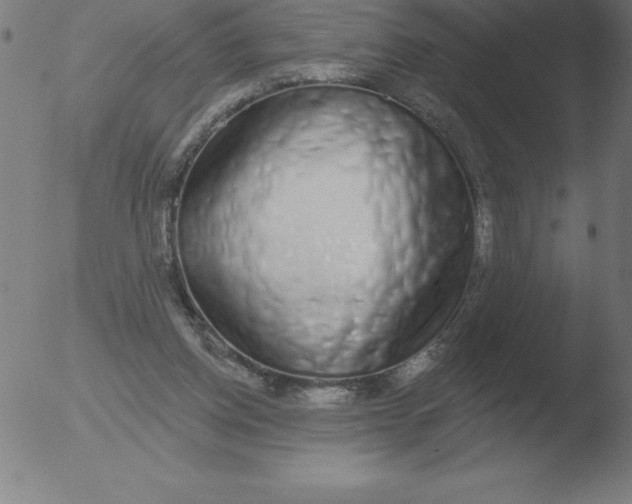 X0000051920158200507082104