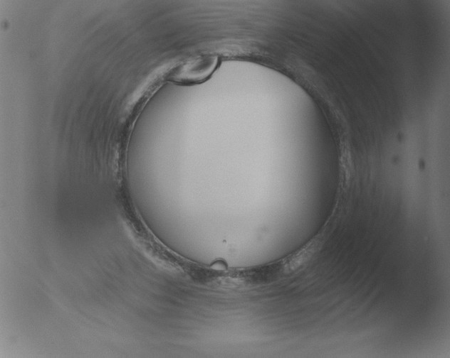 X0000051920159200507082104