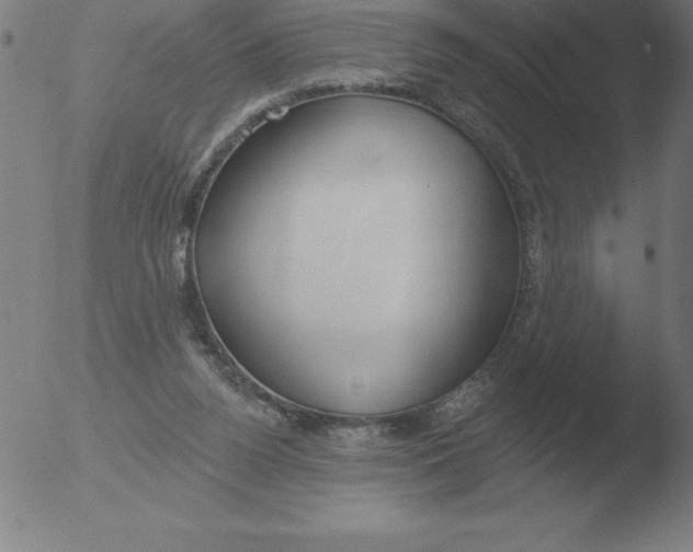 X0000051920160200507082104