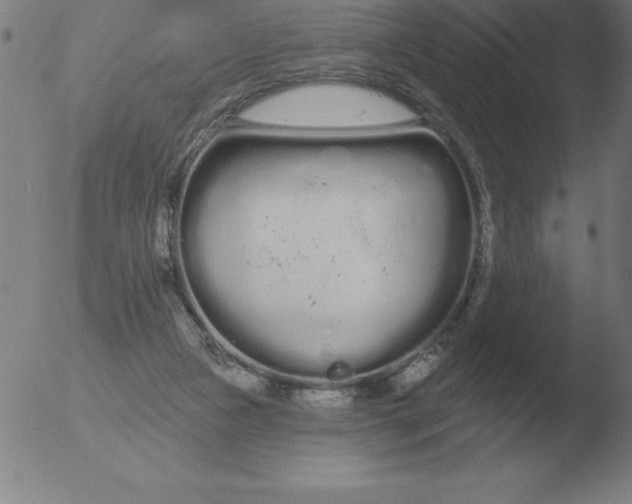 X0000051920161200507082104