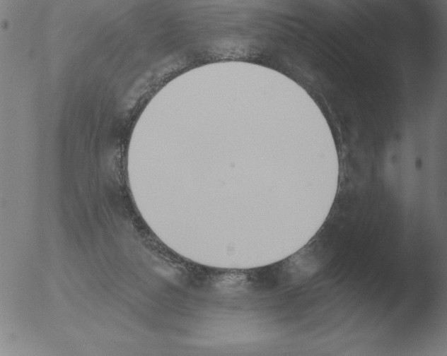 X0000051920162200507082104