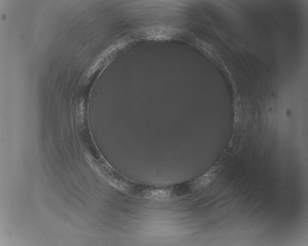 X0000051920163200507082104