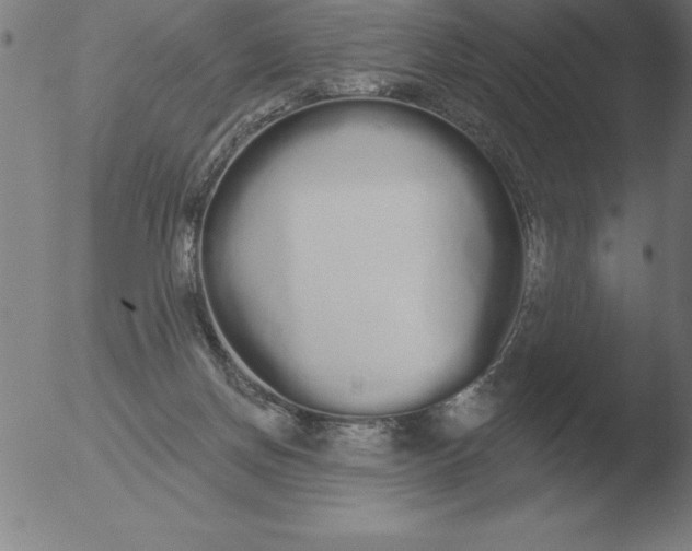 X0000051920166200507082104