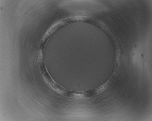 X0000051920167200507082104