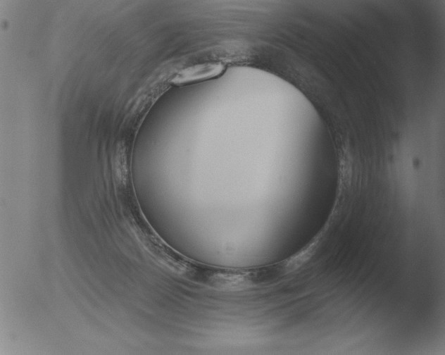 X0000051920170200507082104