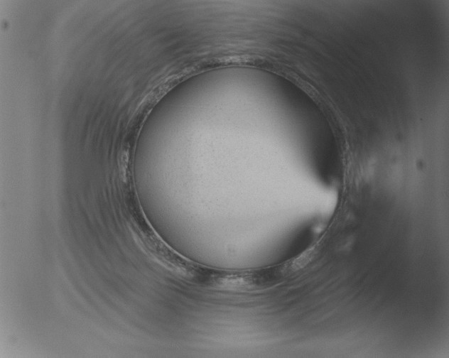 X0000051920171200507082104