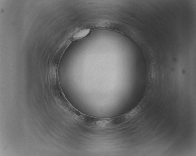 X0000051920172200507082104