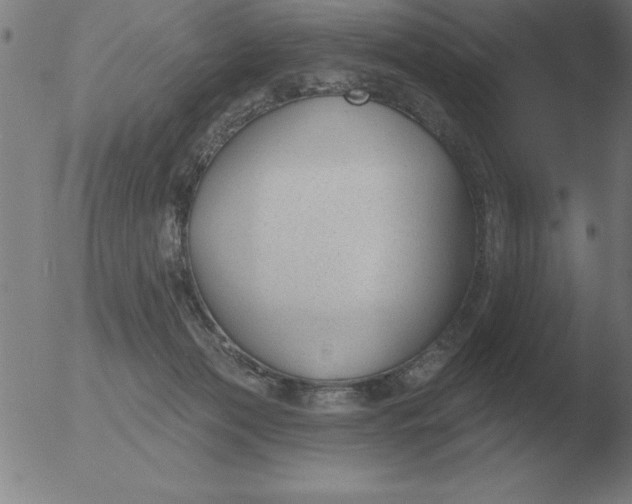 X0000051920173200507082104