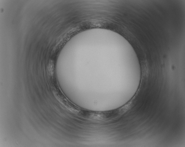 X0000051920174200507082104