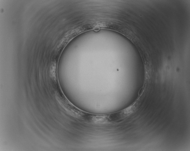 X0000051920175200507082104