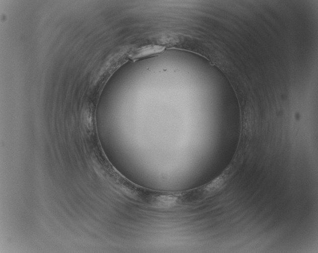 X0000051920176200507082104