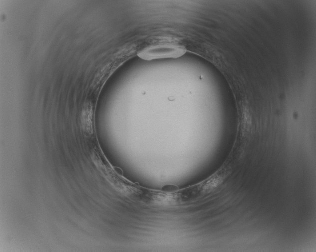 X0000051920177200507082104