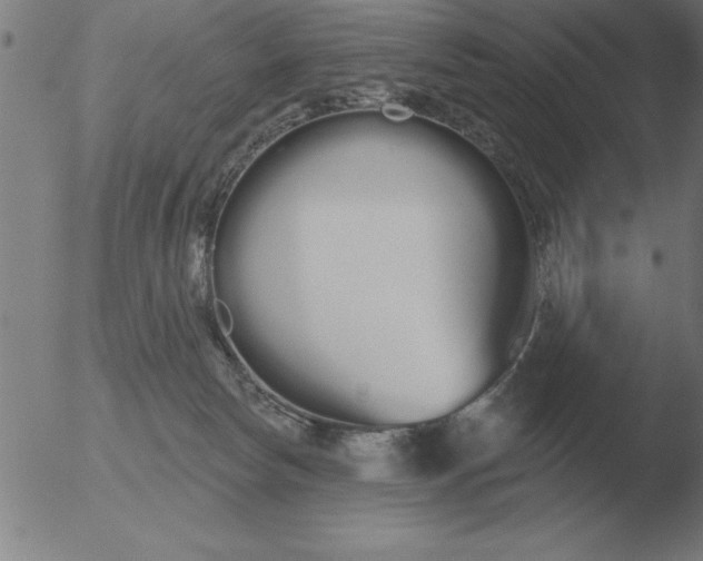 X0000051920178200507082104