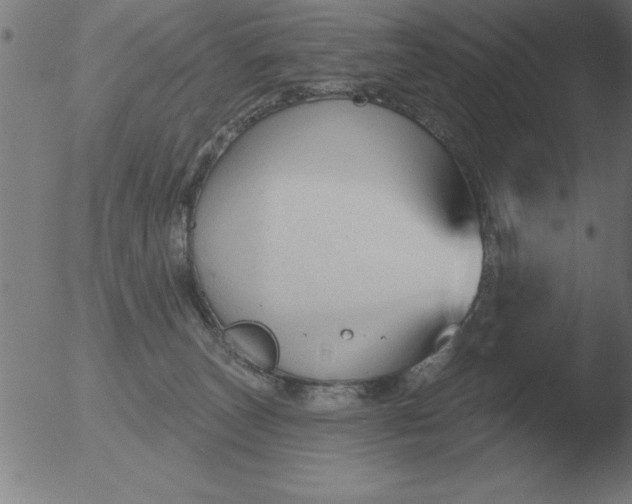 X0000051920179200507082104