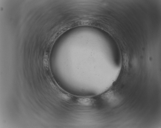 X0000051920181200507082104