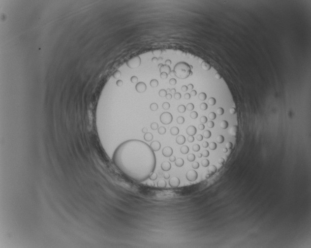 X0000051920183200507082104