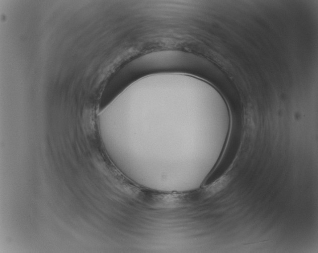 X0000051920184200507082104